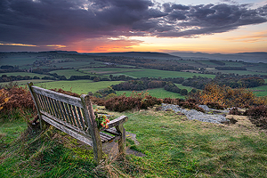 A Seat with a View